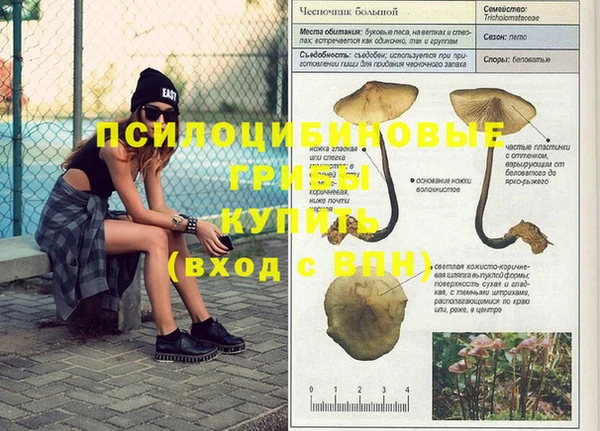 марихуана Бородино