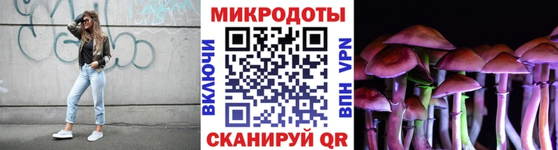Псилоцибиновые грибы MAGIC MUSHROOMS  Купить закладки  Курлово 